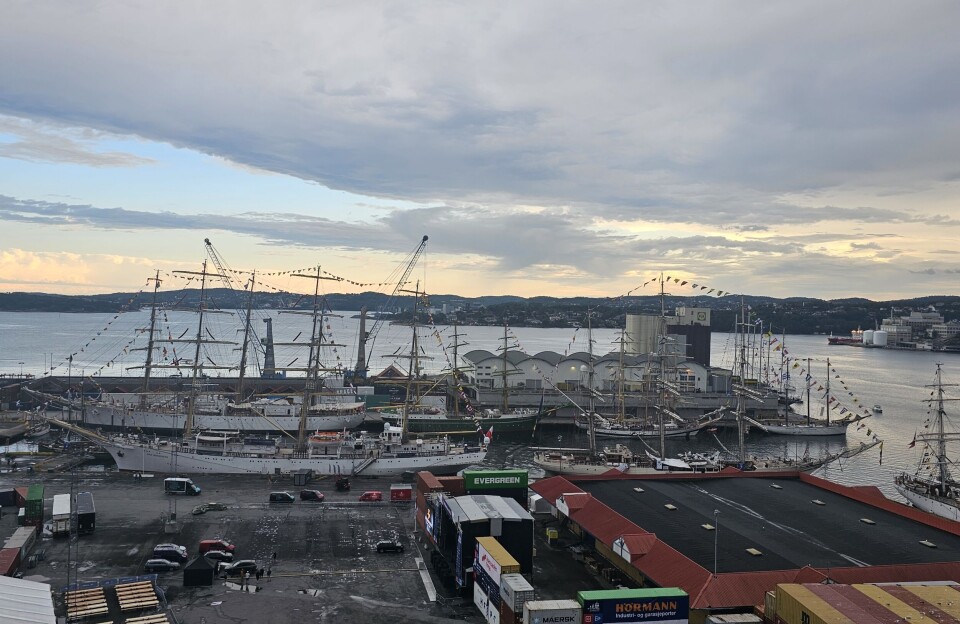 Containerhavna i Kristiansand har gjort plass til en del av de 48 seilskutene. De fleste av de 48 hadde kommet i går kveld da dette bildet ble tatt, og er spredt over hele havna.