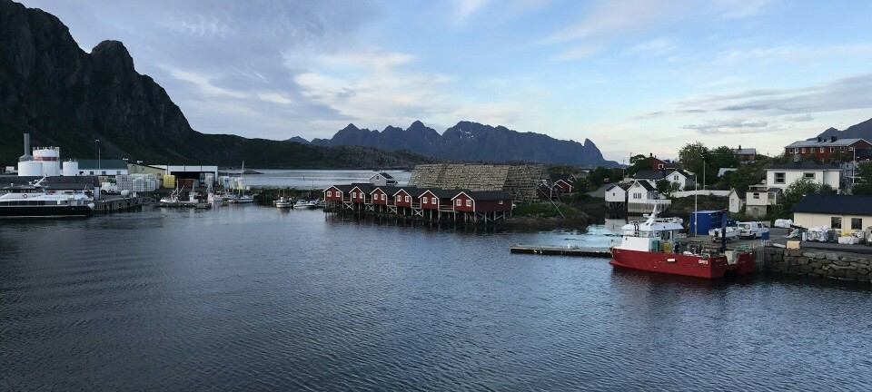 - Burde brukt tunnelpenger på havn