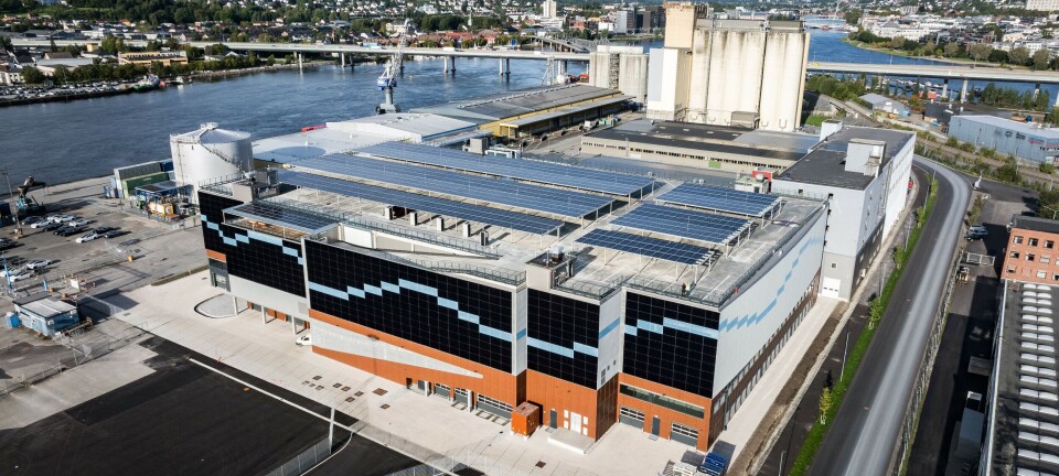 Åpner nytt importanlegg for biler på Drammen havn