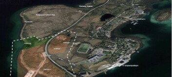 Regulerer nytt havneområde i Risøyhamn