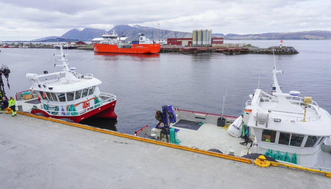 Sandnessjøen havn. Sandnessjøen havn.