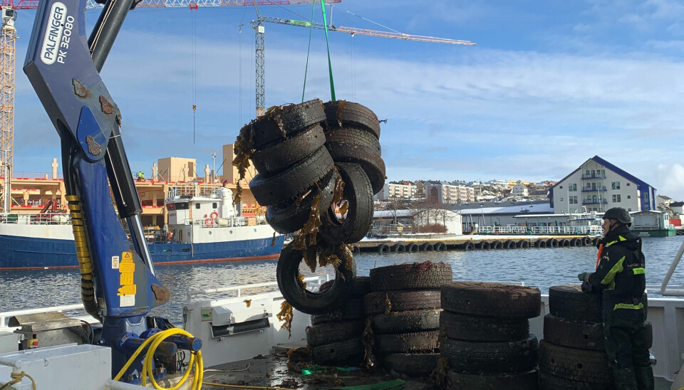 Akvaservice har fjernet fenderdekk fra sjøbunn ved Vågekaia.