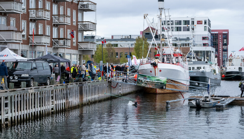 Harstad Havn søker ny maritim leder.