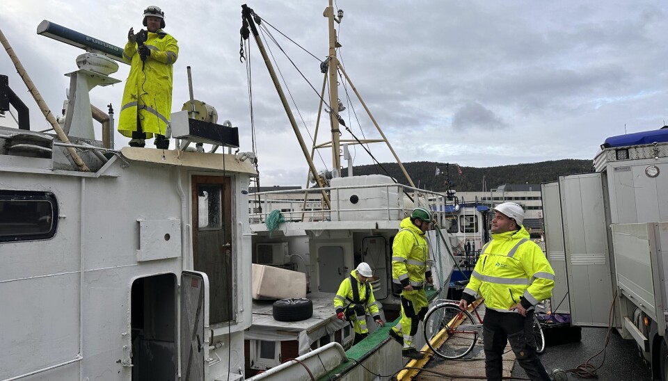 Henlagte båtvrak koster Bergen havn og eierne mye penger. I tillegg er de en trussel for miljøet.